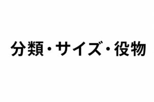 タイルに関する用語【分類・サイズ・役物】